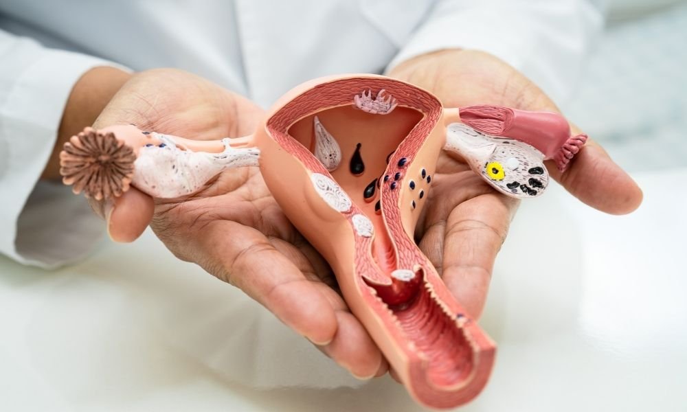 Bebek Eşinin Rahime Yapışması